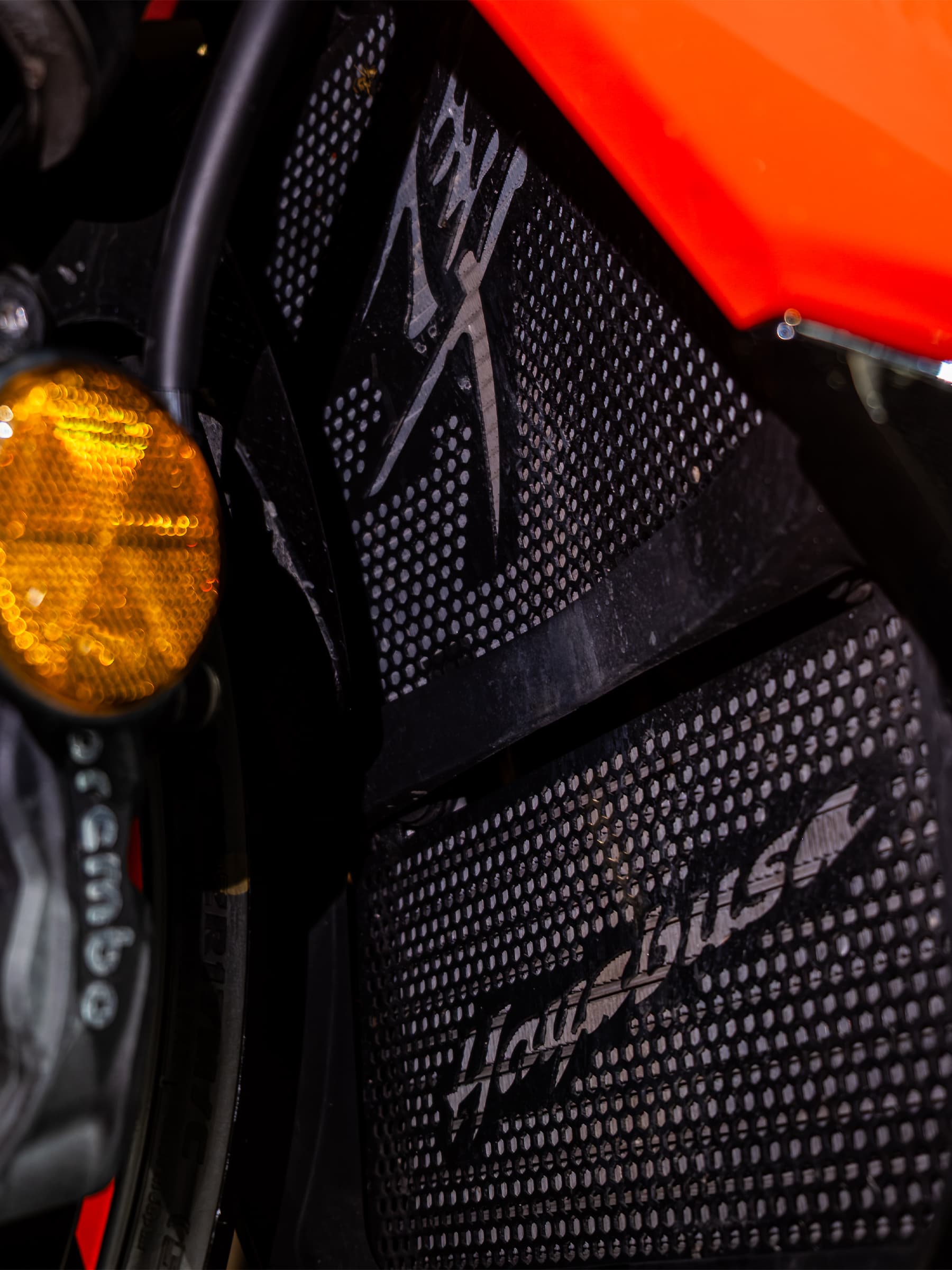Suzuki GSX-R 1300 Hayabusa'nın Hayabusa logolu radyatör koruyucusu ve Brembo fren kaliperi